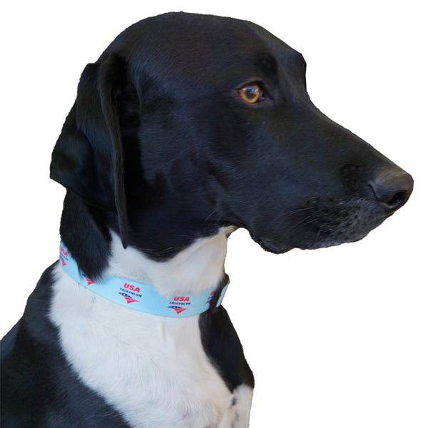 USA Triathlon Adjustable Pet Collar